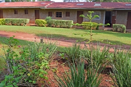 Class Rooms